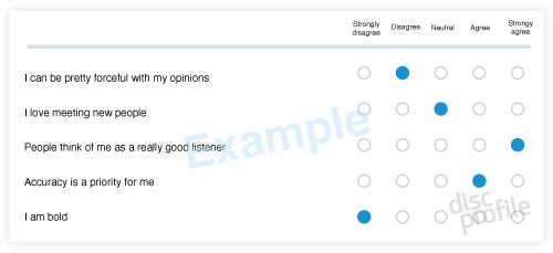 Everything DiSC assessment items sample