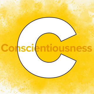 C styles enjoy their independence, demand the details, and often fear being wrong.