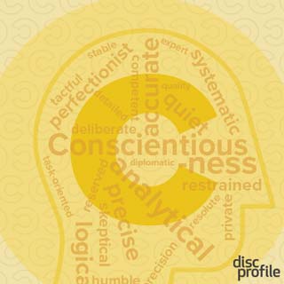 C styles enjoy their independence, demand the details, and often fear being wrong.