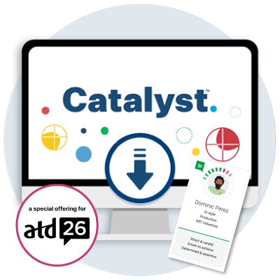 Everything DiSC on Catalyst Practitioner Experience