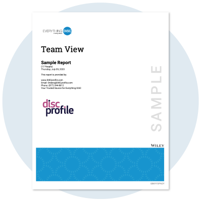 Team View report cover