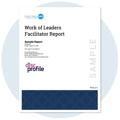 Work of Leaders Facilitator Report cover