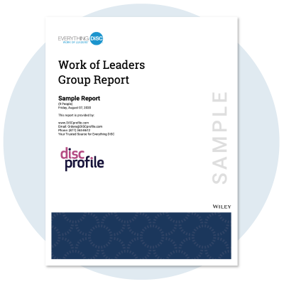 Work of Leaders Group Report cover